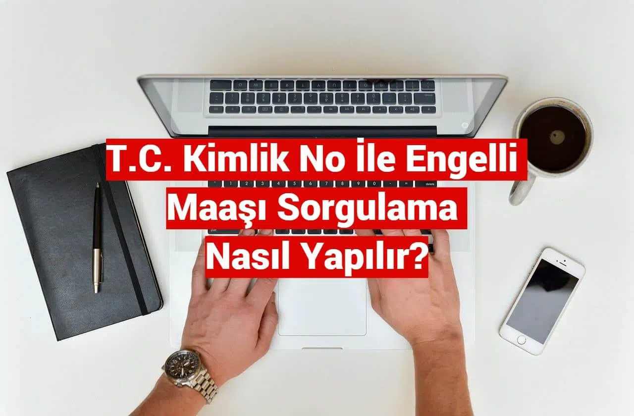 TC No ile Engelli Maaşı Sorgulama E-Devlet Sorgulama