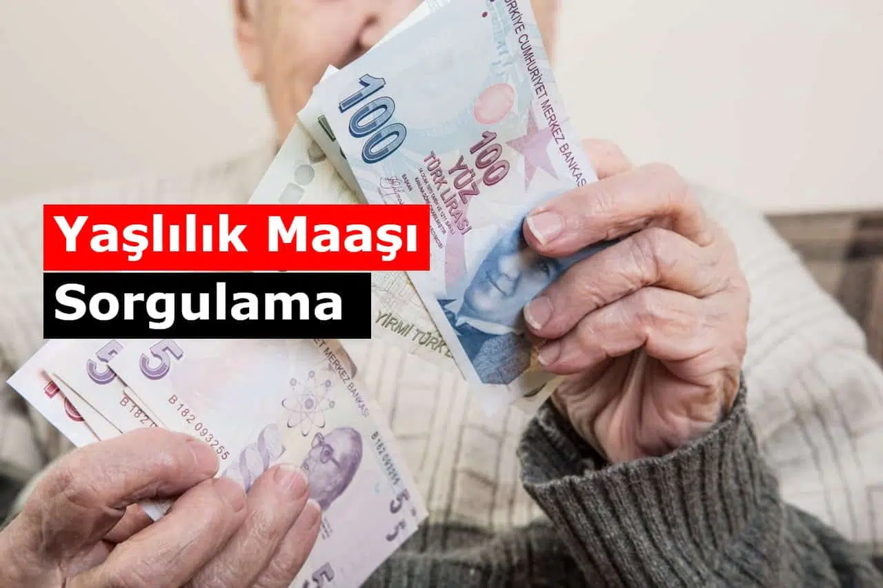 Yaşlılık Maaşı Sorgulama Nasıl Yapılır? (E-Devlet - PTT)