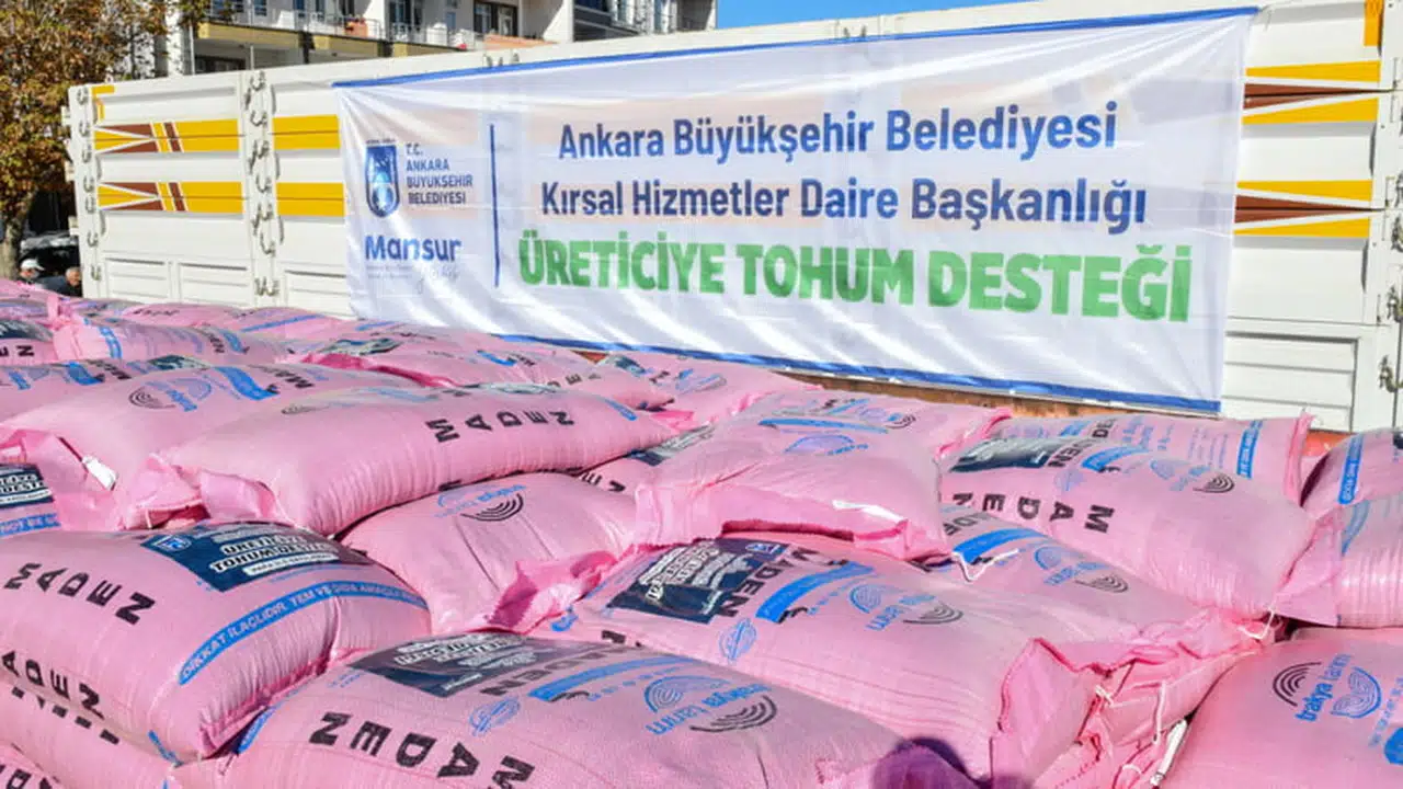Ankara Büyükşehir Belediyesi Tohum Desteği Başvurusu ve Sorgulama