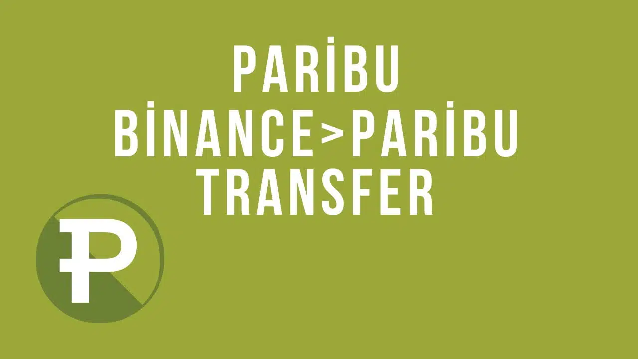 Binance'den Paribu'ya Coin Transferi