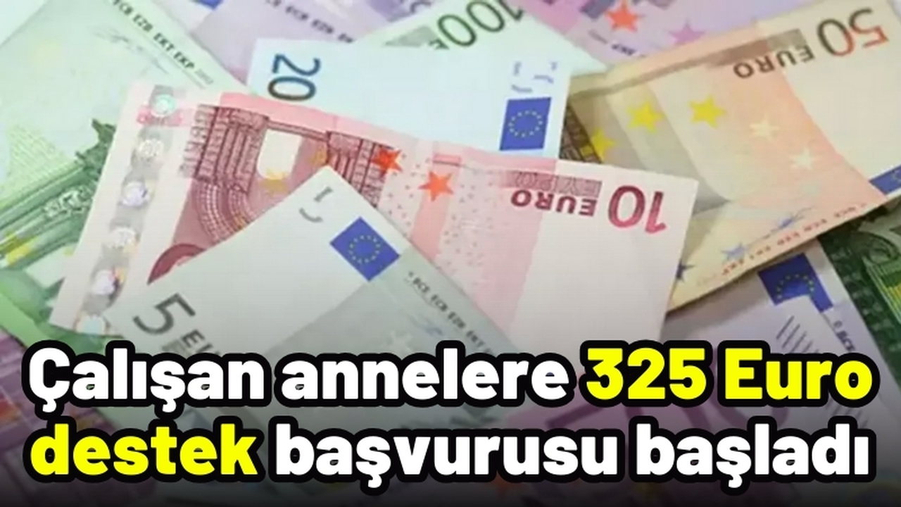 Çalışan Annelere 325 Euro Destek Başvurular Başladı