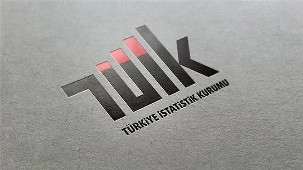 TÜİK 55 Sözleşmeli Temizlik, Anketör, Teknisyen ve Destek Personeli Alımı Yapacak