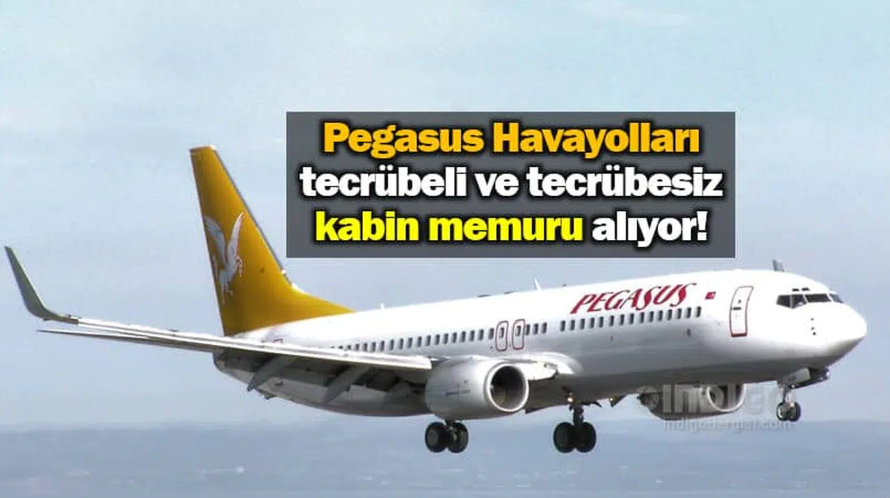 Pegasus Tecrübeli ve Tecrübesiz Yüksek Maaşlı Kabin Memuru Alımı Yapacak
