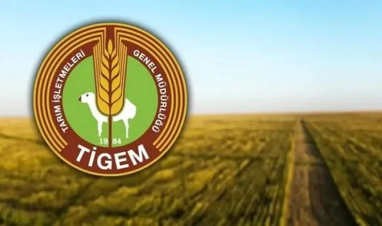 Tarım İşletmeleri Genel Müdürlüğü (TİGEM) 69 sözleşmeli personel alımı yapacak