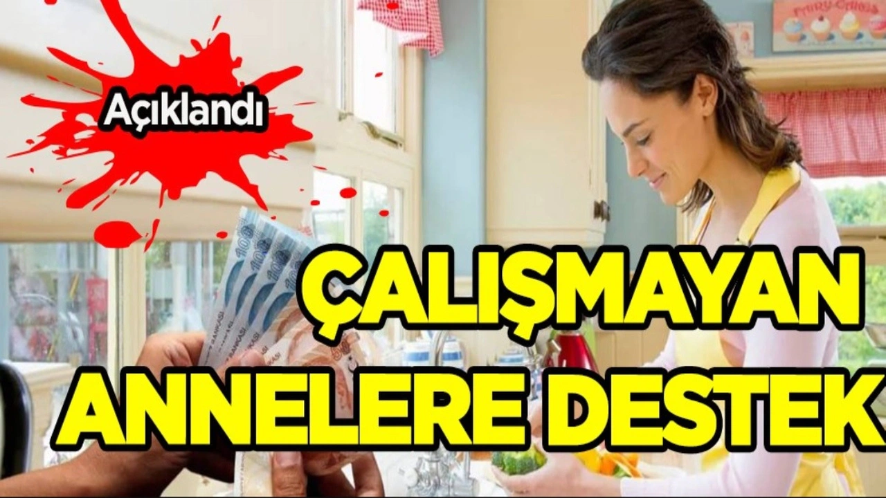 Çalışan çalışmayan tüm annelere 395 bin TL doğum yardım verilecek. Başvurular başladı
