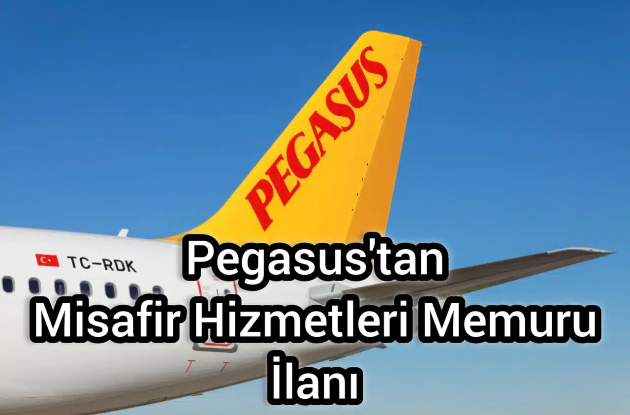 Pegasus Misafir Hizmetleri Memuru Alımı: Başvuru Şartları ve Detaylar