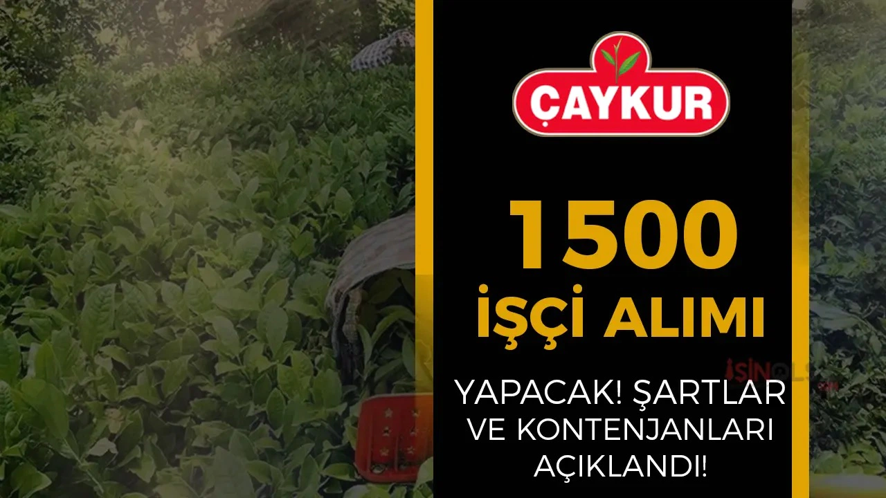 Çaykur 1500 mevsimlik işçi alımı için ilan yayınladı. Kadro dağılımı ve başvuru şartları