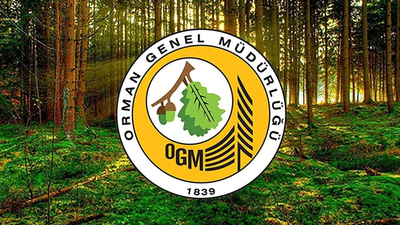 OGM 3477 Personel Alımı: Sonuçlar Ne Zaman Açıklanacak, Taban KPSS Puanı Kaç Olacak?