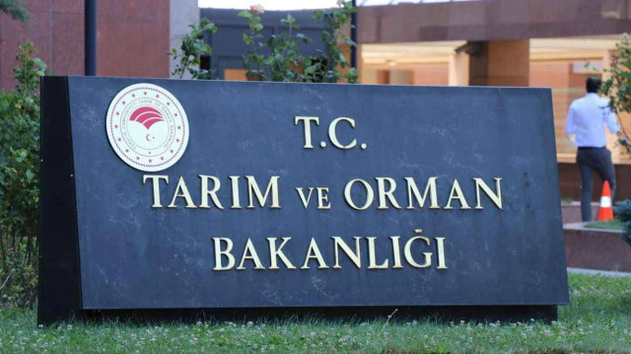 Tarım ve Orman Bakanlığı 8.500 Personel Alacak: Kadrolar, Şartlar ve Başvuru Detayları