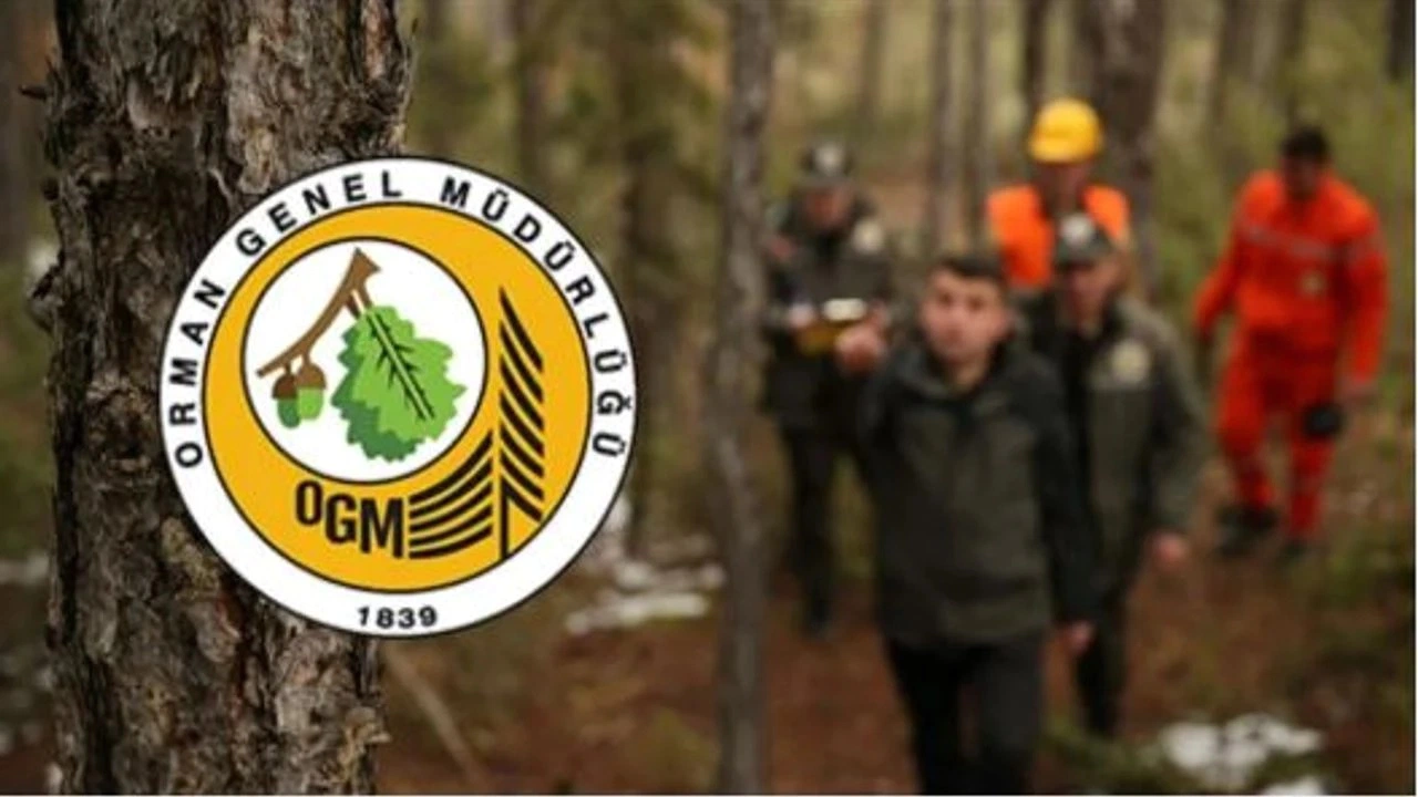 OGM 2025 Personel Alımı Başladı! 3477 Sözleşmeli Destek Personeli Alınacak – İşte Kadrolar ve Başvuru Detayları