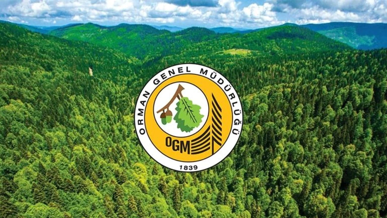 Orman Genel Müdürlüğü 262 Daimi İşçi Alımı Başladı! İşte Şartlar ve Başvuru Ekranı