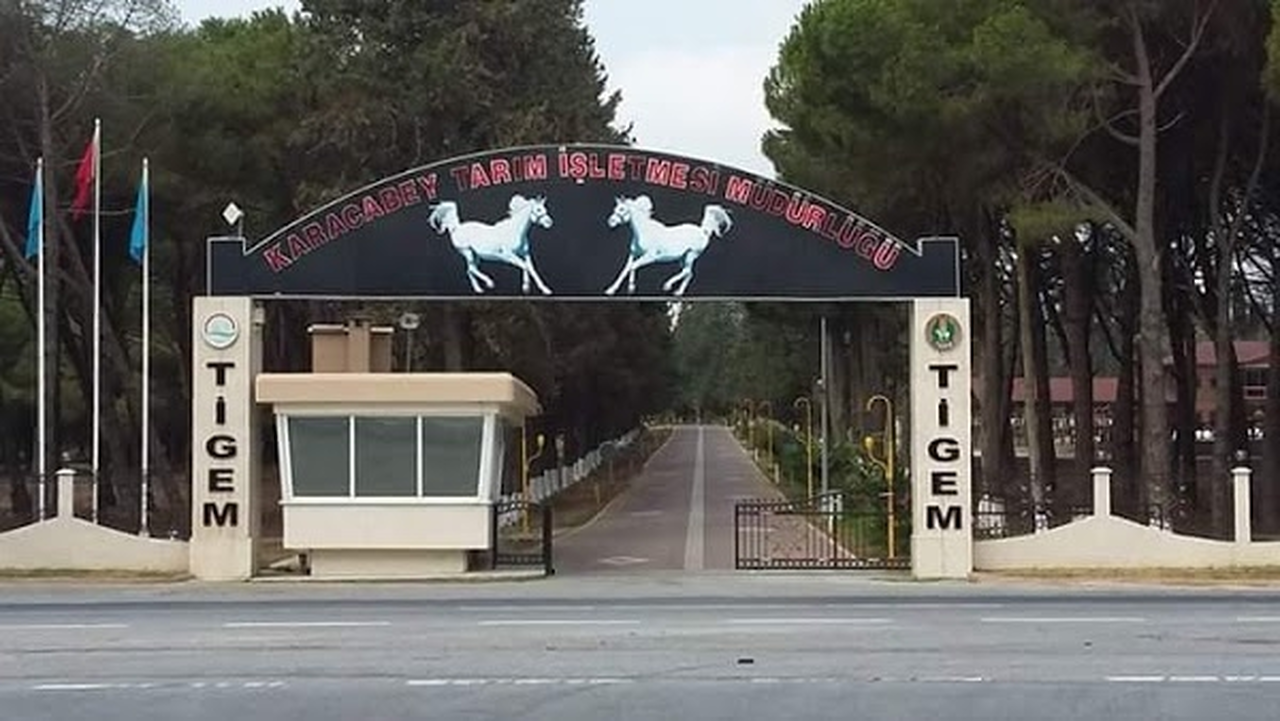 TİGEM’den Hipodrom ve Haralara Büyük Alım: 254 Sürekli İşçi İçin Başvurular Başlıyor