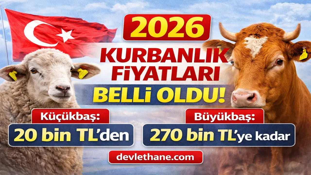 Kurbanlık Fiyatları Netleşiyor: Küçükbaş 20 Bin TL’den Başlıyor, Büyükbaş 270 Bin TL’ye Kadar Çıkıyor