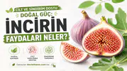 Cilt ve Sindirim Dostu Doğal Güç: İncirin Sağlığa Faydaları Neler?