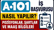 A101 İş Başvurusu Nasıl Yapılır? Güncel Başvuru Şartları, Pozisyonlar ve Maaş Detayları
