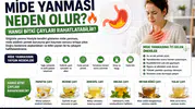 Mide Yanması Neden Olur? Hangi Bitki Çayları Rahatlatabilir?
