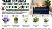 Yatak Odasında Bulundurulmaması Gereken 5 Çiçek! Uyku Kalitesini Olumsuz Etkileyebilir