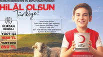 Kızılay Kurban Bayramı yardımı başvurusu başladı. Erzak ve para yardımı verilecek