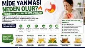 Mide Yanması Neden Olur? Hangi Bitki Çayları Rahatlatabilir?