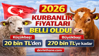 Kurbanlık Fiyatları Netleşiyor: Küçükbaş 20 Bin TL’den Başlıyor, Büyükbaş 270 Bin TL’ye Kadar Çıkıyor