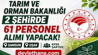 Tarım ve Orman Bakanlığı KPSS Şartsız 61 Personel Alımı Yapacak! İŞKUR İUP Başvuruları Başladı