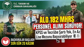 ALO 182 MHRS Personel Alımı Sürüyor: KPSS ve Tecrübe Şartı Yok, En Az Lise Mezunu Başvurabiliyor