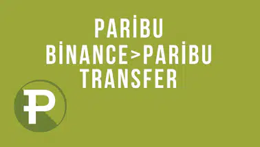 Binance'den Paribu'ya Coin Transferi