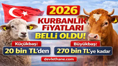 Kurbanlık Fiyatları Netleşiyor: Küçükbaş 20 Bin TL’den Başlıyor, Büyükbaş 270 Bin TL’ye Kadar Çıkıyor