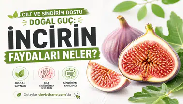 Cilt ve Sindirim Dostu Doğal Güç: İncirin Sağlığa Faydaları Neler?