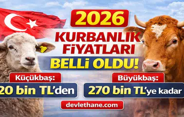 Kurbanlık Fiyatları Netleşiyor: Küçükbaş 20 Bin TL’den Başlıyor, Büyükbaş 270 Bin TL’ye Kadar Çıkıyor