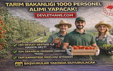 Tarım Bakanlığı 1000 Personel Alımı Yapacak! Çaycuma Sera OTB’de Üretim Başladı