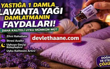 Yastığa 1 Damla Lavanta Yağı Damlatmak Ne İşe Yarar? Daha Kaliteli Uyku İçin Doğal Yöntem