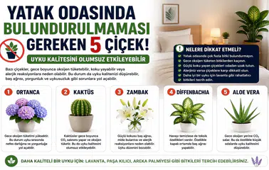 Yatak Odasında Bulundurulmaması Gereken 5 Çiçek! Uyku Kalitesini Olumsuz Etkileyebilir