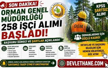 Orman Genel Müdürlüğü 258 İşçi Alımı Başladı! KPSS Şartsız Başvuru Süreci ve Şartlar Açıklandı