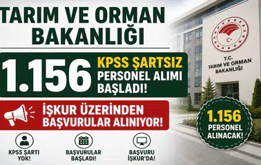 Tarım ve Orman Bakanlığı 1.156 KPSS Şartsız Personel Alımı Başladı! İŞKUR Üzerinden Başvurular Alınıyor