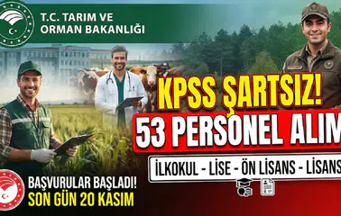 Tarım ve Orman Bakanlığı KPSS Şartsız 53 Personel Alacak: İlkokul, Lise, Ön Lisans ve Lisans Kadroları Açıldı
