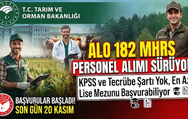 ALO 182 MHRS Personel Alımı Sürüyor: KPSS ve Tecrübe Şartı Yok, En Az Lise Mezunu Başvurabiliyor