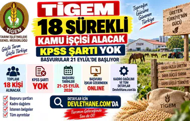 TİGEM 18 Sürekli Kamu İşçisi Alacak: KPSS Şartı Yok, Başvurular 21 Eylül'de Başlıyor