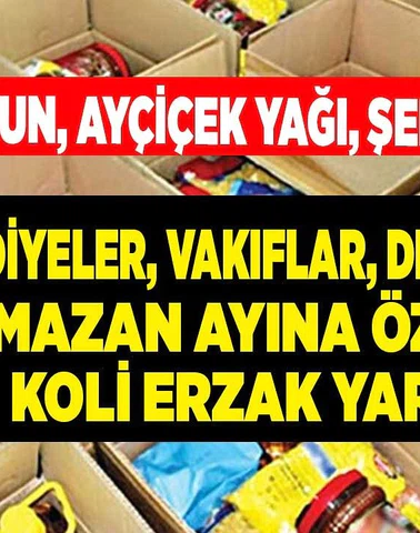 E-Devlet Gıda Yardımı Başvurusu ve Başvuru Formu
