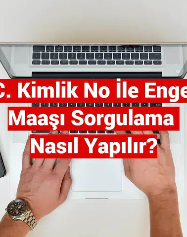 T.C No İle Engelli Maaşı Sorgulama E-Devlet