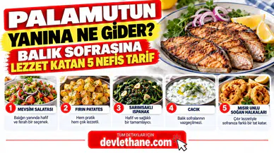 Palamutun Yanına Ne Gider? Balık Sofrasına Lezzet Katan 5 Nefis Tarif
