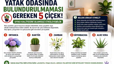 Yatak Odasında Bulundurulmaması Gereken 5 Çiçek! Uyku Kalitesini Olumsuz Etkileyebilir