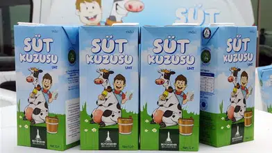 Süt Kuzusu Başvurusu E-Devlet Başvuru Formu ve Şartları