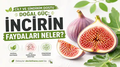 Cilt ve Sindirim Dostu Doğal Güç: İncirin Sağlığa Faydaları Neler?