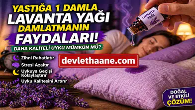 Yastığa 1 Damla Lavanta Yağı Damlatmak Ne İşe Yarar? Daha Kaliteli Uyku İçin Doğal Yöntem