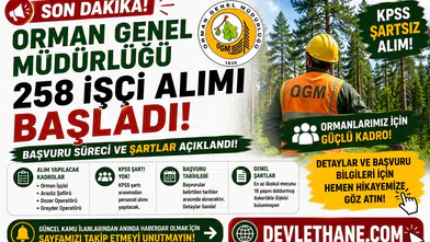 Orman Genel Müdürlüğü 258 İşçi Alımı Başladı! KPSS Şartsız Başvuru Süreci ve Şartlar Açıklandı