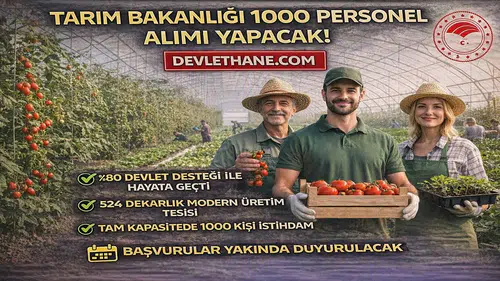 Tarım Bakanlığı 1000 Personel Alımı Yapacak! Çaycuma Sera OTB’de Üretim Başladı