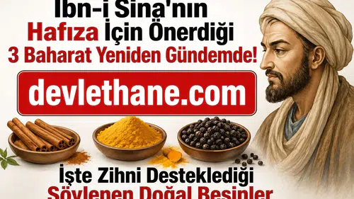 İbn-i Sina'nın Hafıza İçin Önerdiği 3 Baharat Yeniden Gündemde! İşte Zihni Desteklediği Söylenen Doğal Besinler