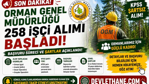 Orman Genel Müdürlüğü 258 İşçi Alımı Başladı! KPSS Şartsız Başvuru Süreci ve Şartlar Açıklandı