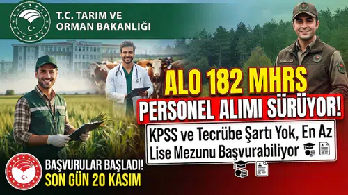 ALO 182 MHRS Personel Alımı Sürüyor: KPSS ve Tecrübe Şartı Yok, En Az Lise Mezunu Başvurabiliyor